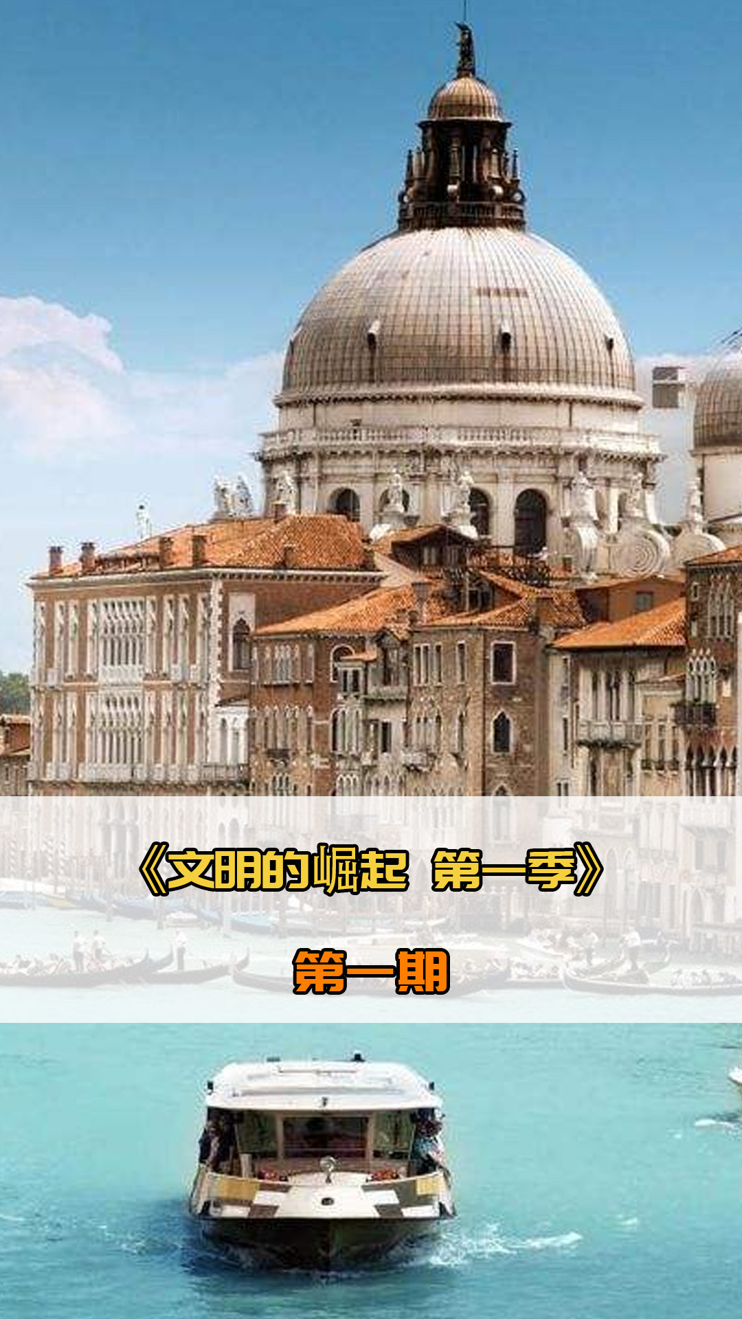 反映了维