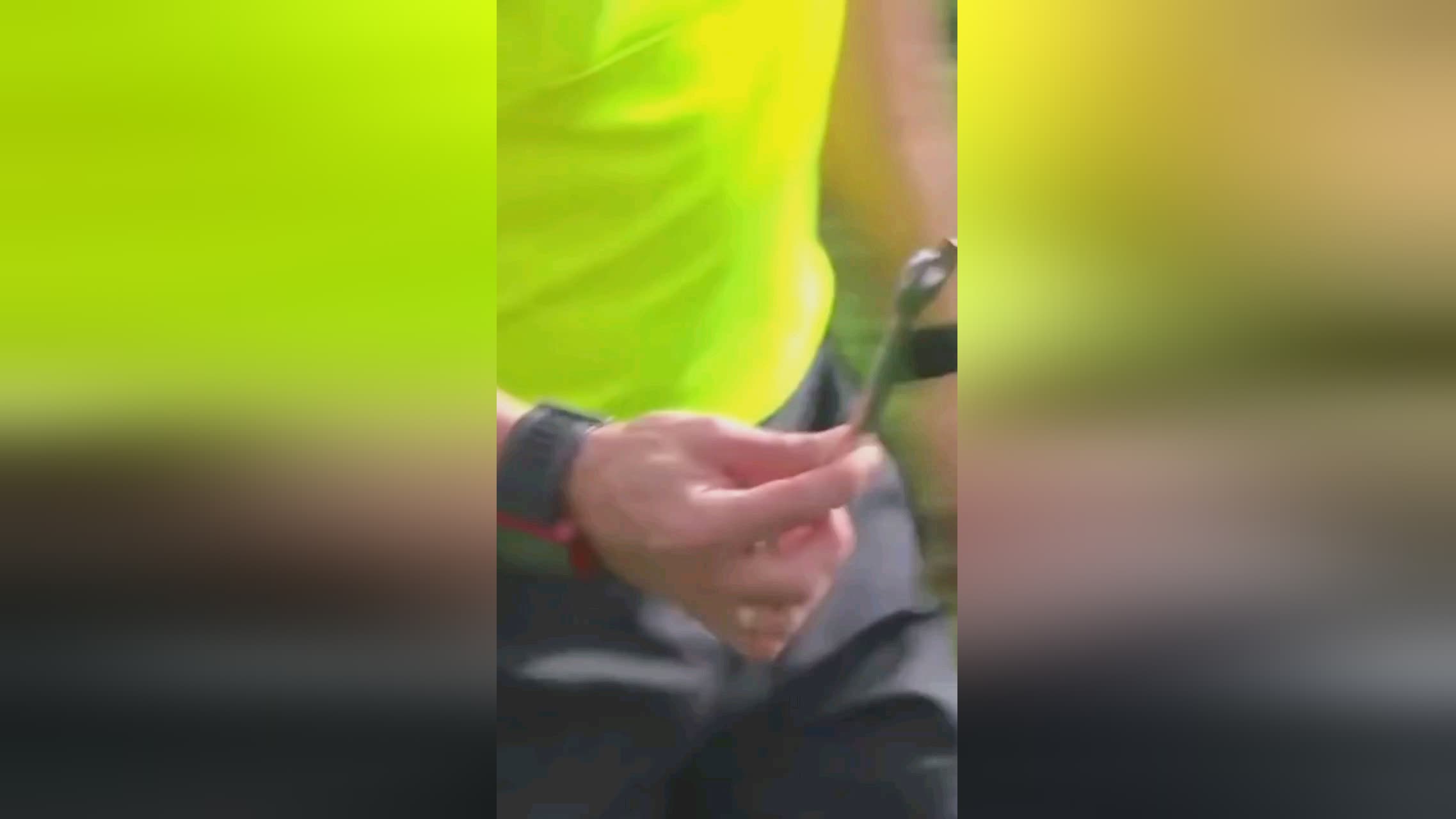 种生活